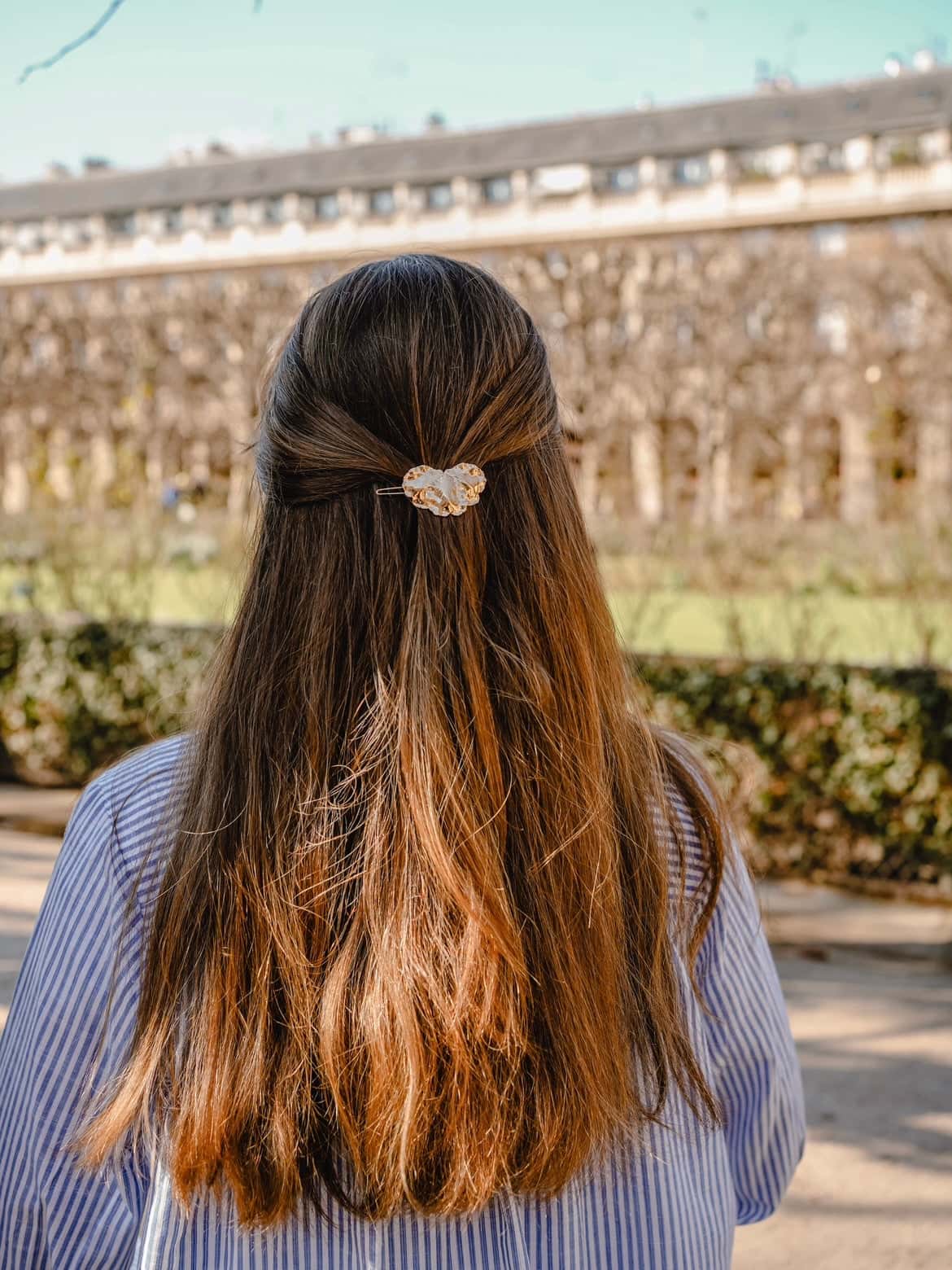 Barrette Iris